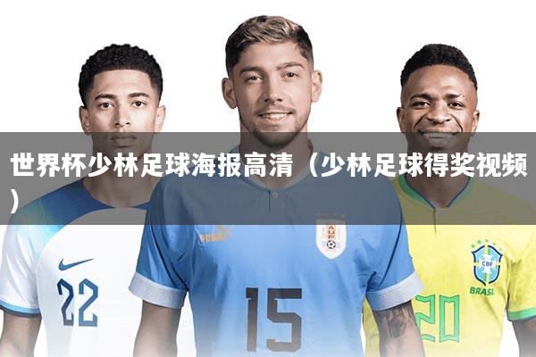 世界杯少林足球海报高清（少林足球得奖视频）